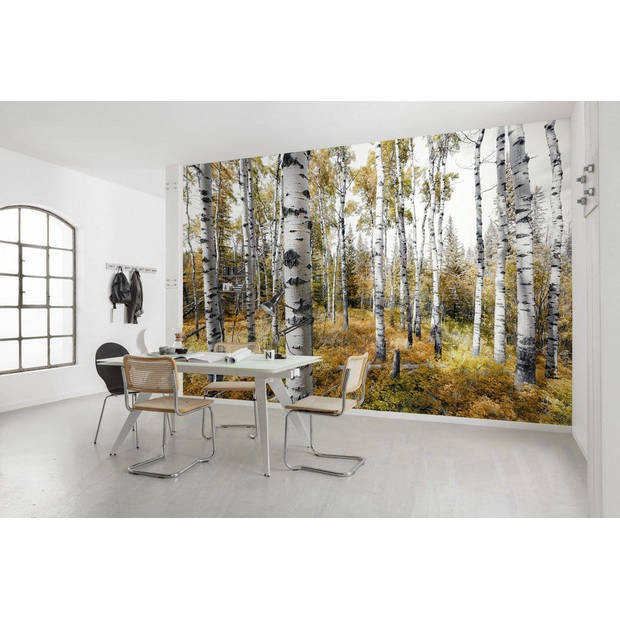 Fotobehang - Colorful Aspenwoods 450x280cm - Vliesbehang