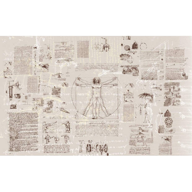 Fotobehang - Da Vinci 400x250cm - Papierbehang