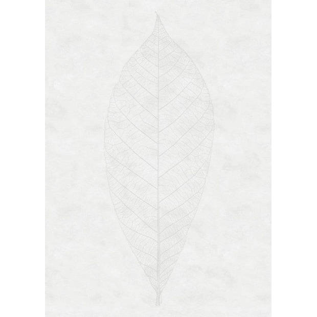 Fotobehang - Decent Leaf 200x280cm - Vliesbehang