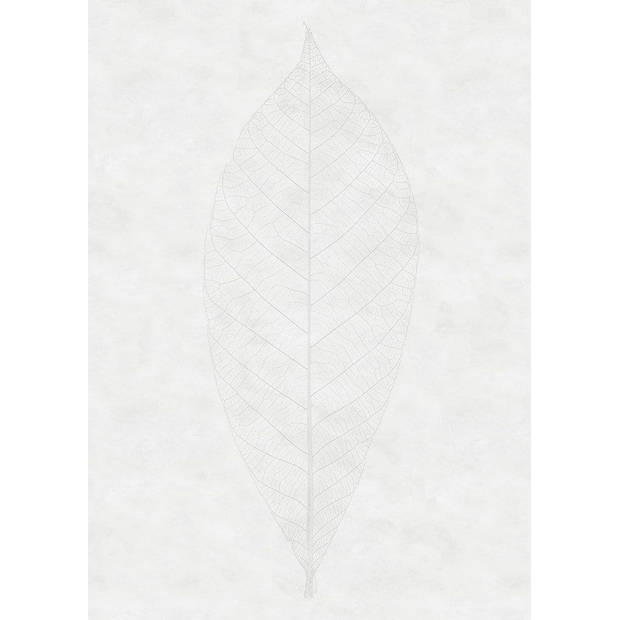 Fotobehang - Decent Leaf 200x280cm - Vliesbehang