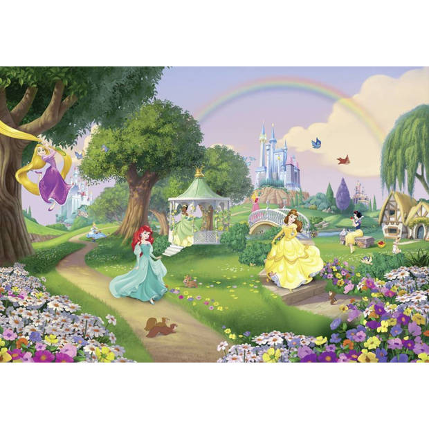 Fotobehang - Disney Princess Rainbow 368x254cm - Papierbehang