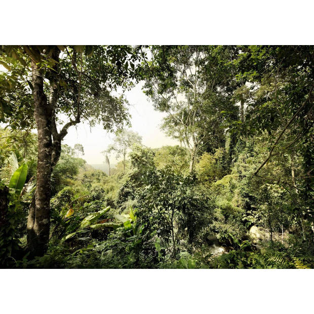 Fotobehang - Dschungel 350x250cm - Papierbehang