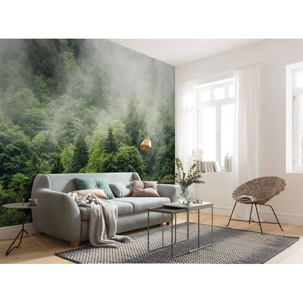 Fotobehang - Forest Land 400x250cm - Vliesbehang