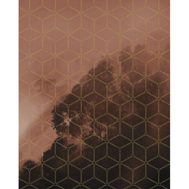 Fotobehang - Golden Grid 200x250cm - Vliesbehang