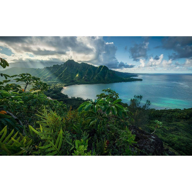 Fotobehang - Jurassic Island 450x280cm - Vliesbehang