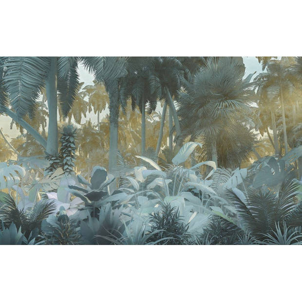 Fotobehang - Misty Jungle 400x250cm - Vliesbehang