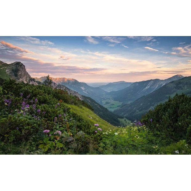 Fotobehang - Naturpark Allgäuer Hochalpen 450x280cm - Vliesbehang