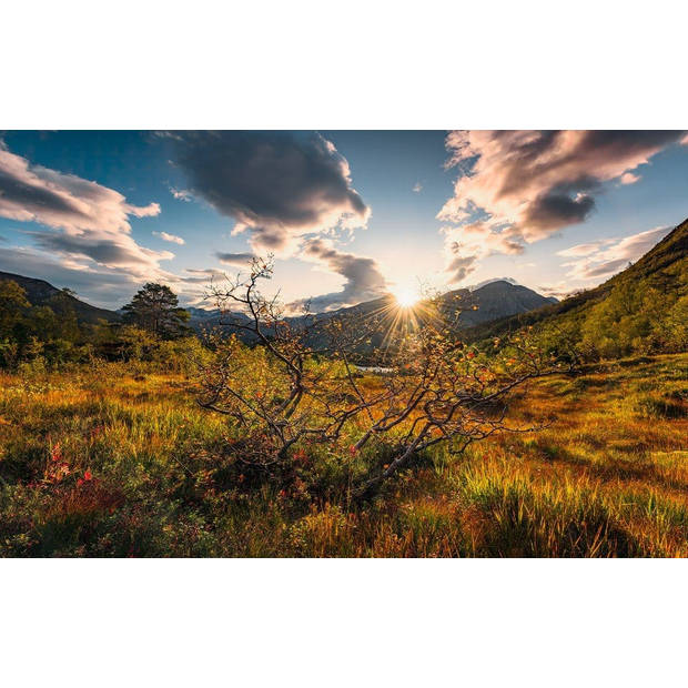 Fotobehang - Norwegische Herbstwelten 450x280cm - Vliesbehang