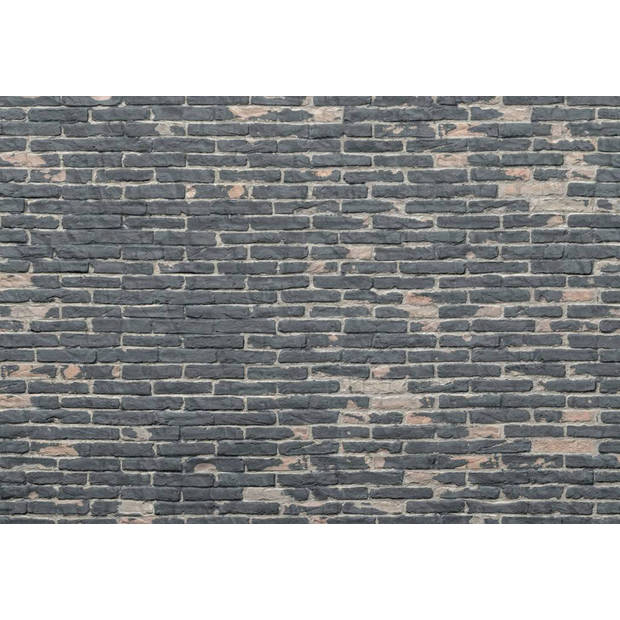 Fotobehang - Painted Bricks 368x248cm - Vliesbehang