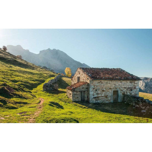 Fotobehang - Picos de Europe Alm 450x280cm - Vliesbehang