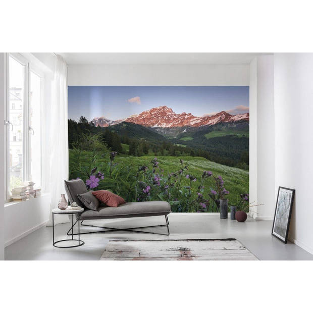 Fotobehang - Picturesque Switzerland 450x280cm - Vliesbehang