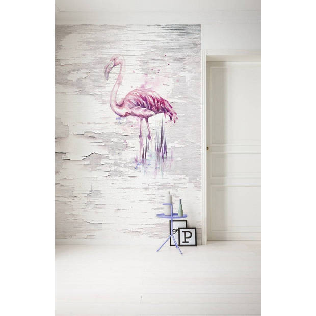 Fotobehang - Pink Flamingo 200x250cm - Vliesbehang