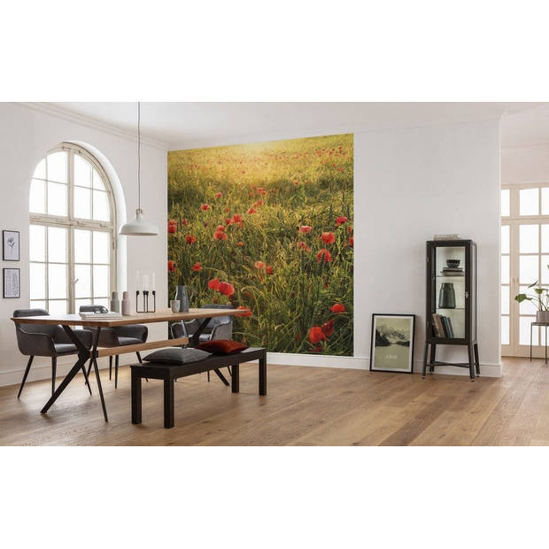 Fotobehang - Poppy World 250x280cm - Vliesbehang