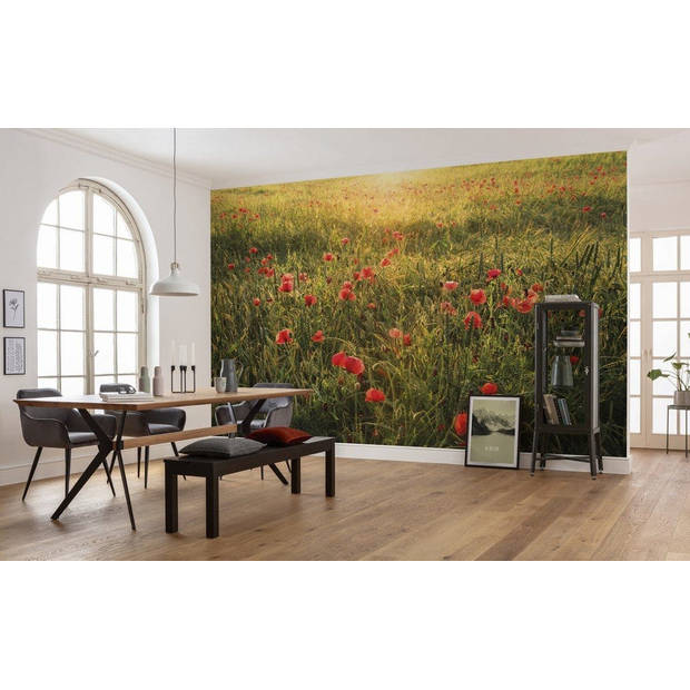 Fotobehang - Poppy World 450x280cm - Vliesbehang