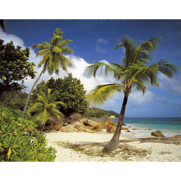 Fotobehang - Praslin 368x254cm - Papierbehang