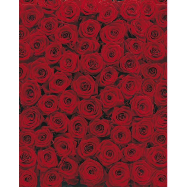 Fotobehang - Roses 194x270cm - Papierbehang
