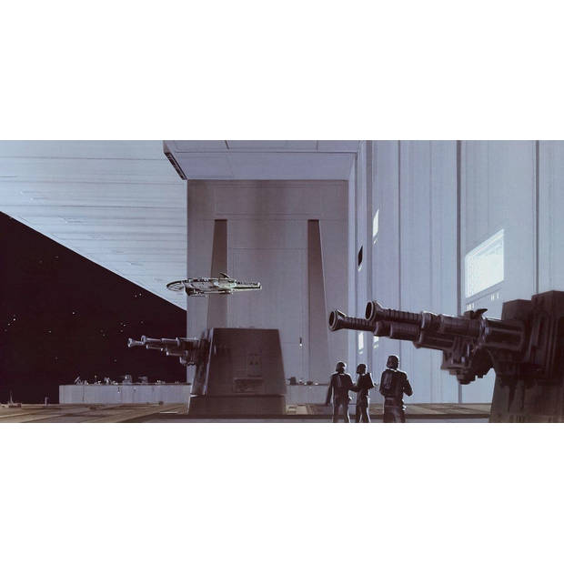 Fotobehang - Star Wars Classic RMQ Death Star Hangar 500x250cm - Vliesbehang