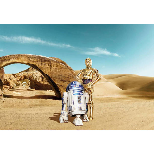 Fotobehang - Star Wars Lost Droids 368x254cm - Papierbehang