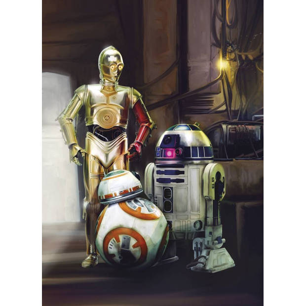 Fotobehang - Star Wars Three Droids 184x254cm - Papierbehang