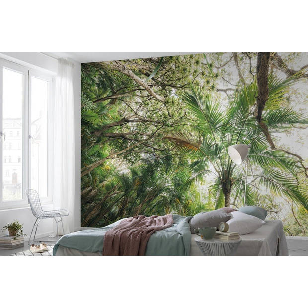 Fotobehang - Touch the Jungle 450x280cm - Vliesbehang