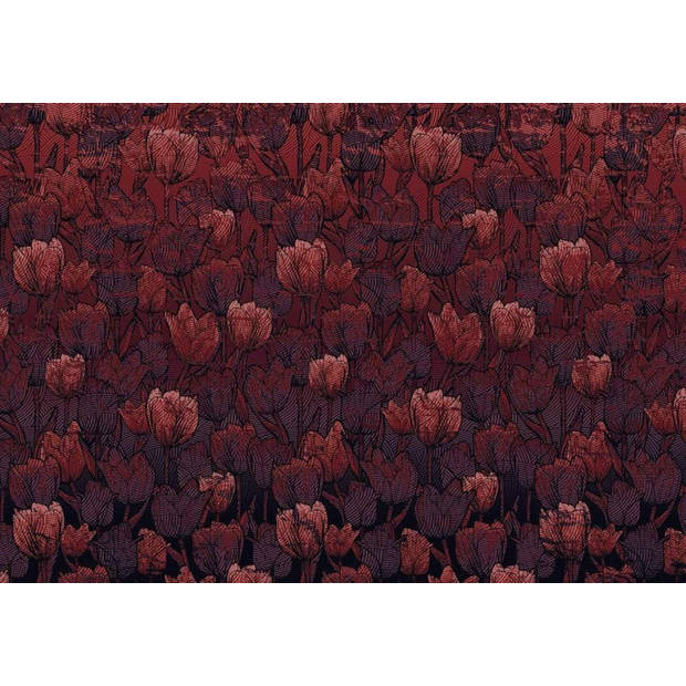 Fotobehang - Tulipe 400x280cm - Vliesbehang