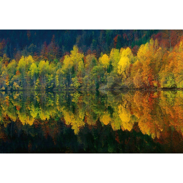 Fotobehang - Autumn Forest Lake 384x260cm - Vliesbehang