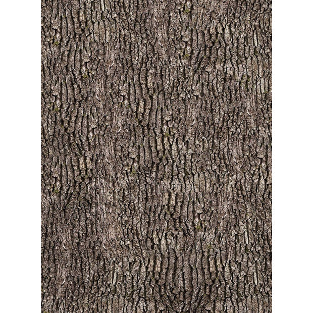 Fotobehang - Bark Wall 192x260cm - Vliesbehang