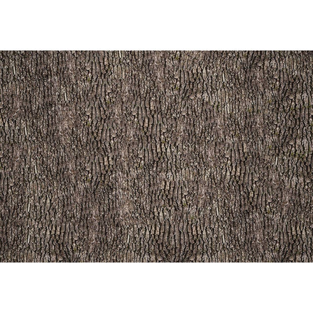 Fotobehang - Bark Wall 384x260cm - Vliesbehang