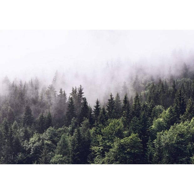 Fotobehang - Foggy Forest 366x254cm - Papierbehang