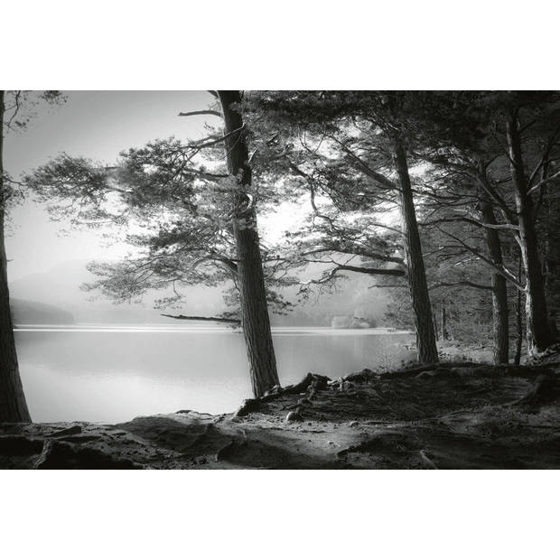 Fotobehang - Forest Lake 384x260cm - Vliesbehang