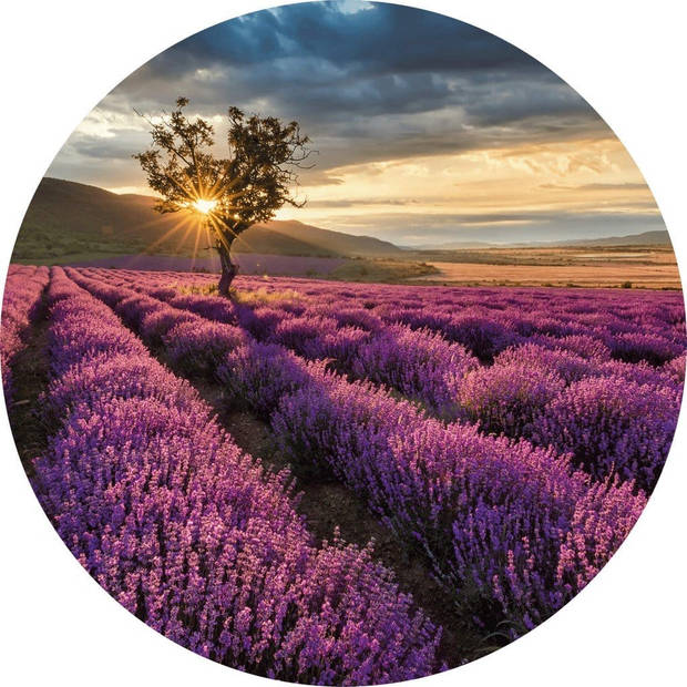 Fotobehang - Lavender in the Provence 140x140cm rond - Vliesbehang