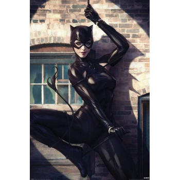 Poster Catwoman Spot Light 61x91,5cm