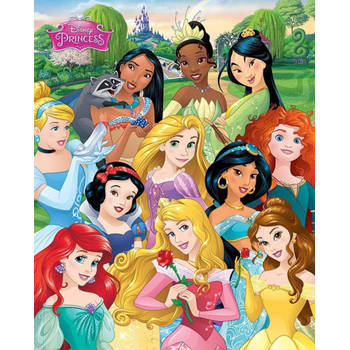 Poster Disney Princess I Am a Princess 40x50cm