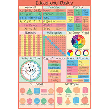 Poster Educational Basics 61x91,5cm