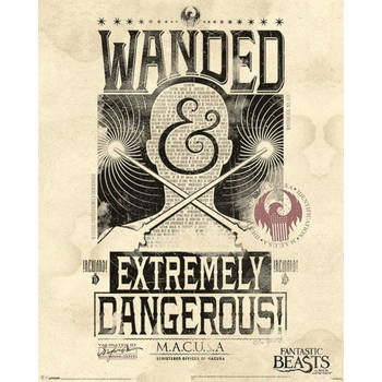 Poster Fantastic Beasts Extremely Dangerous 40x50cm