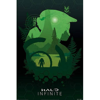Poster Halo Infinite Lakeside 61x91,5cm