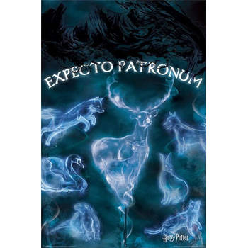 Poster Harry Potter Patronus 61x91,5cm