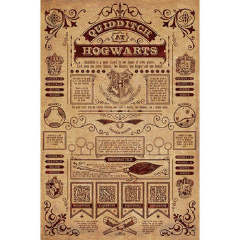 Poster Harry Potter Quidditch At Hogwarts 61x91,5cm