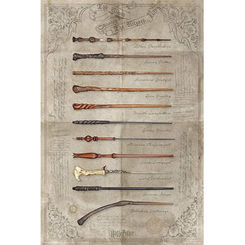 Poster Harry Potter The Wand Chooses the Wizard 61x91,5cm