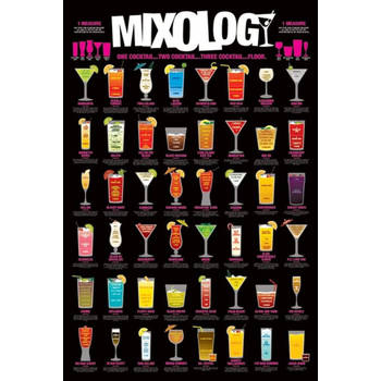 Poster Mixology 61x91,5cm