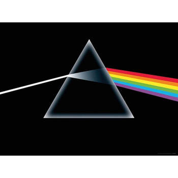 Kunstdruk Pink Floyd Dark Side Of The Moon 80x60cm