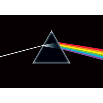 Poster Pink Floyd Dark Side of the Moon 91,5x61cm