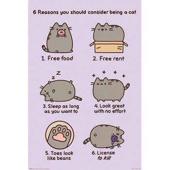 Poster Pusheen Reasons to be a Cat 61x91,5cm