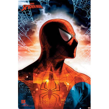 Poster Spider Man Protector of the City 61x91,5cm