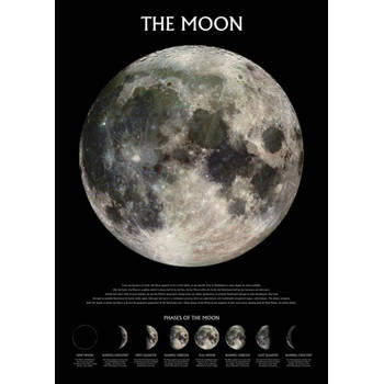 Poster The Moon Phases 61x91,5cm