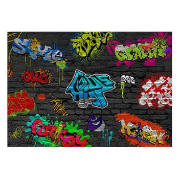 Fotobehang - Graffiti Wall 400x280cm - Vliesbehang