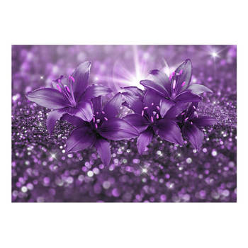 Fotobehang - Masterpiece of Purple 100x70cm - Vliesbehang