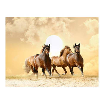 Fotobehang - Running Paarden 350x270cm - Vliesbehang