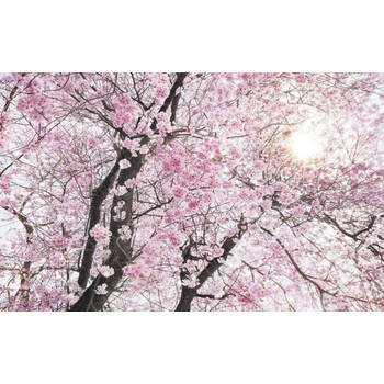 Fotobehang - Bloom 400x250cm - Vliesbehang