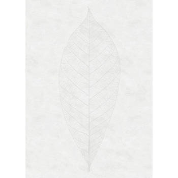 Fotobehang - Decent Leaf 200x280cm - Vliesbehang